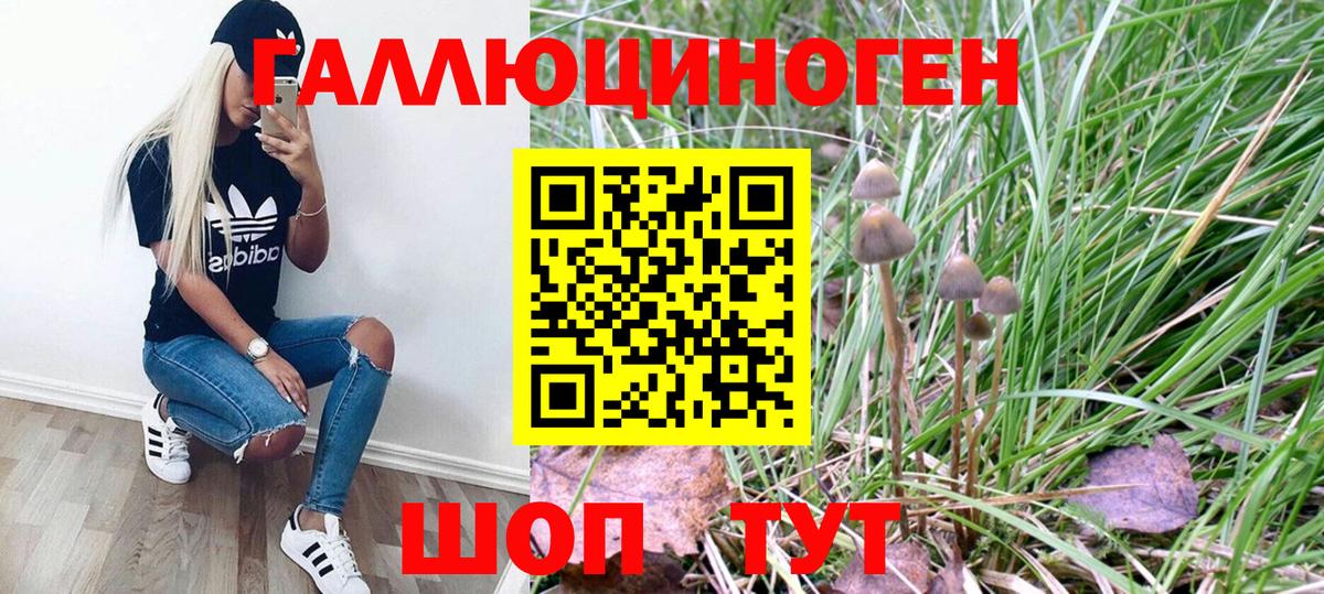 Галлюциногенные грибы Magic Shrooms  Вход с VPN  Искитим 