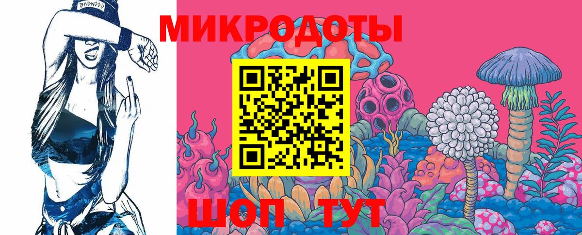 Псилоцибиновые грибы мицелий Искитим